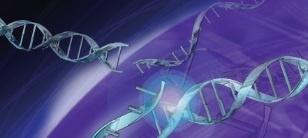 Analýza oligonukleotidů a dsDNA/RNA fragmentů na nové DNAPac RP